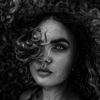 Wind Swept