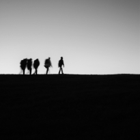 Human Landscape