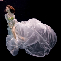Underwater Study #3223