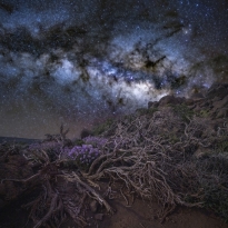 The beauty of stars