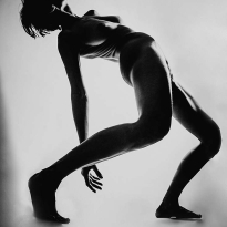 human body