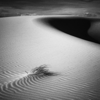 White sand study