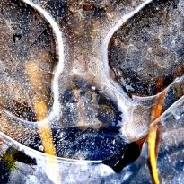 Cold Lines