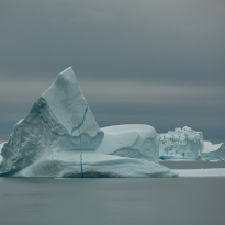 Arctic Grey