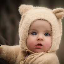 Teddy Bear