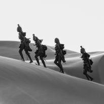A Desert Mirage
