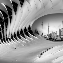 Eye of the City