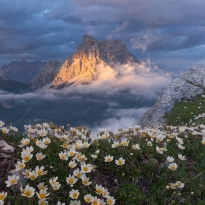 Enchantment