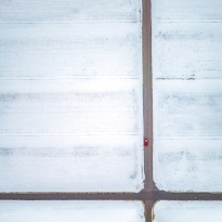 snow day