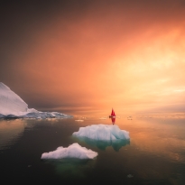 Arctic Odyssey