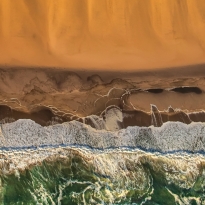 Opposing Forces