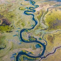Sparks Marsh