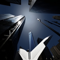 Look Up