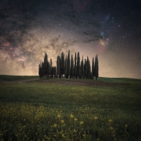Cypress Hill