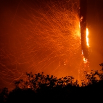 Aftermath of Fire