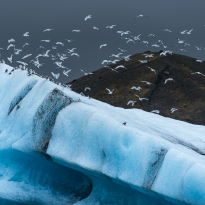 Frozen Flight