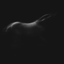 Spirit in the dark