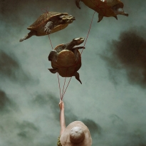 Dreaming of the Sky