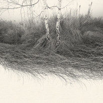 Teeming Grounds
