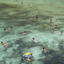 Shallows