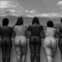  Skin geometry