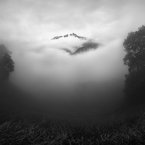 Emerge