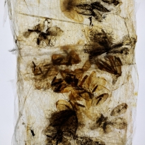 Decomposition