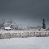 Winter Blues
