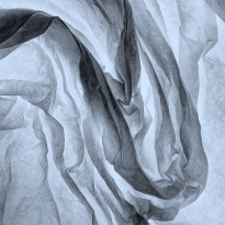 Dark Tissue