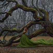 Soul of Tree