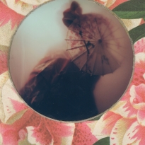 Ikebana