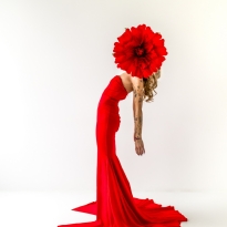 Red Bloom