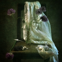 The vanity chair