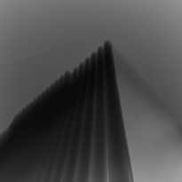 Digital Negative