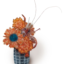 SUSHI IKEBANA