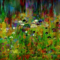 Flowering Fields