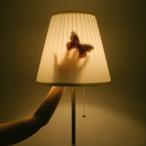 Captured by light